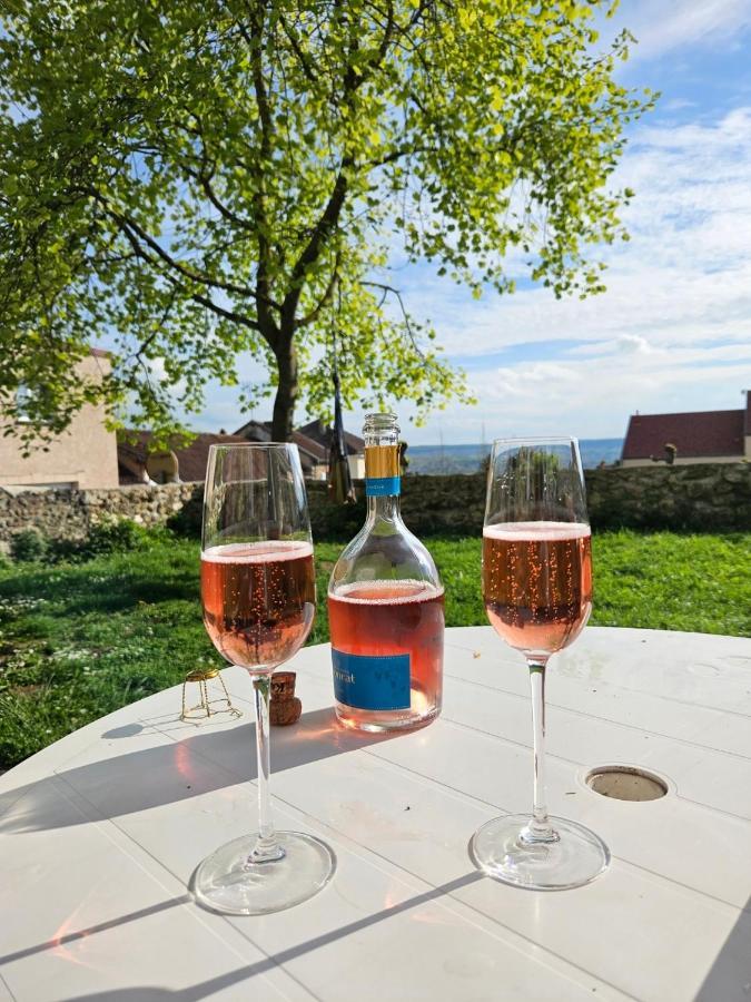 Lodge De La Vigneronne Châtillon-sur-Marne Exteriér fotografie